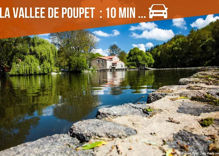 펜션 Milena - - Puy Dufou - Grande Capacite